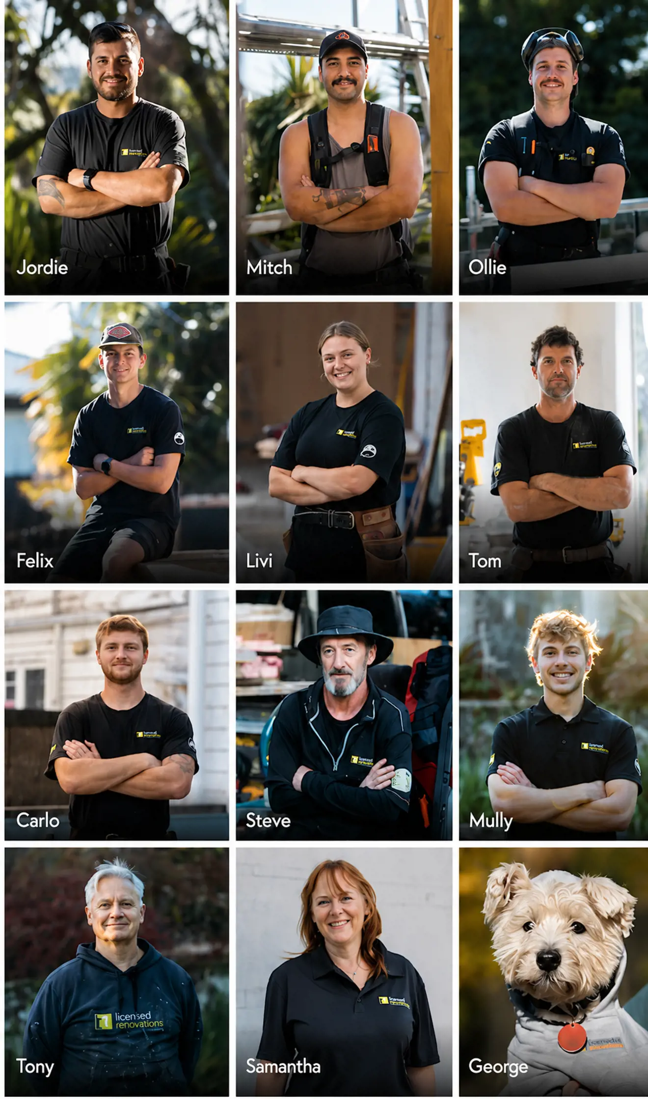 Licensed Renovations Team